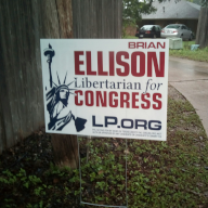 ellison-pic